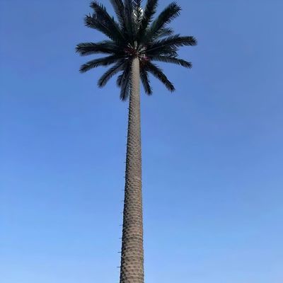 10 20 30 40 50 60 70 80 M Hot Dipped Galvanized Camouflaged Pole Palm / Pine Micro Fake Cell Tower Trees 10 20 30 40 50 60 70 80 M
