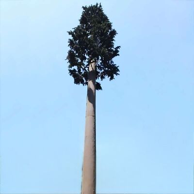 Bionic Tree Tower artificial impact strength KV 27 joules at various temperatures for structural reliability
