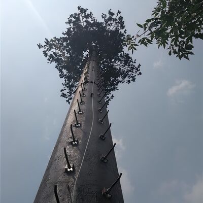 18 27 35Meter Camouflaged Palm Tree Telecom Tower For Resort Hotel Landscape