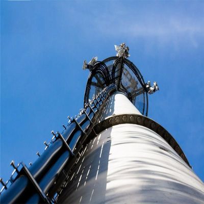 Free Standing  Monopole Tower100 Telecom Tower Antenna Types Of Communicatin Tubular