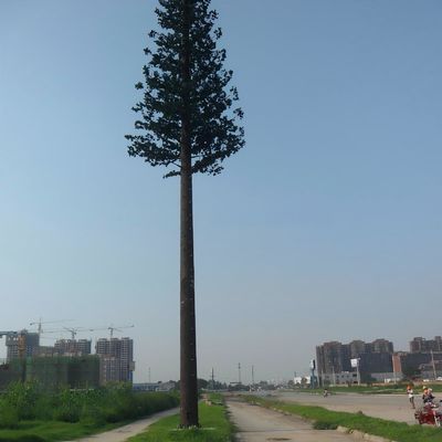 10 20 30 40 50 60 70 80 M Hot Dipped Galvanized Camouflaged Pole Palm / Pine Micro Fake Cell Tower Trees 10 20 30 40 50 60 70 80 M