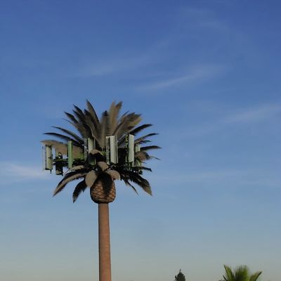 10 20 30 M Palm Tree Fake Tree Cell Tower Camouflaged Telecommunication  5-80M