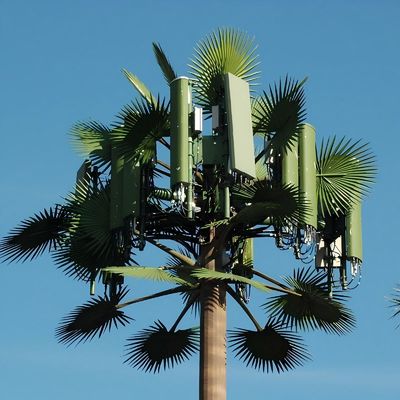 10 20 30 40 50 60 70 80 M Hot Dipped Galvanized Camouflaged Pole Palm / Pine Micro Fake Cell Tower Trees 10 20 30 40 50 60 70 80 M