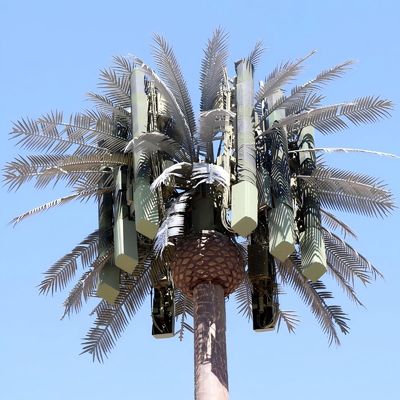 10 20 30 40 50 60 70 80 M Hot Dipped Galvanized Camouflaged Pole Palm / Pine Micro Fake Cell Tower Trees 10 20 30 40 50 60 70 80 M