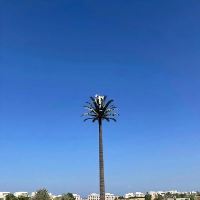 Bionic Camouflaged Cell Towers GSM Antenna Steel Monopole Telecom Tower Galvanization