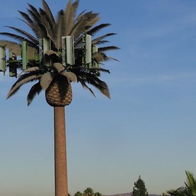 Galvanized GSM Mobile Bionic Palm Tree Antenna Tower Single Pole 5g Tower Camouflage