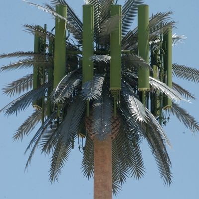 Galvanized GSM Mobile Bionic Palm Tree Antenna Tower Single Pole 5g Tower Camouflage