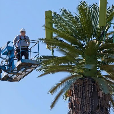 Galvanized GSM Mobile Bionic Palm Tree Antenna Tower Single Pole 5g Tower Camouflage