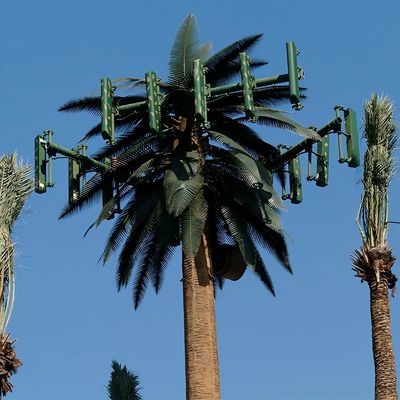 10 20 30 40m Camouflaged Cell Towers Telecommunication Monopole Pine Tree Cell Tower