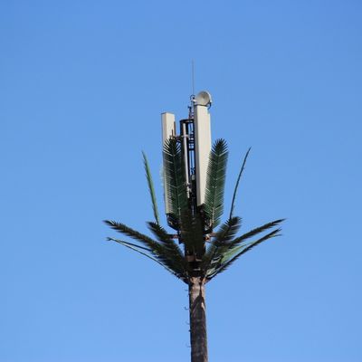 Customization 20m-50m Communication Monopole Artificial Tree Cell Towers Telecom Palm Bionic Disguise Tree Pole Tower