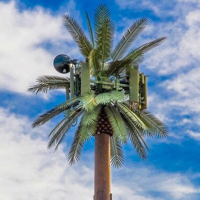 Customization 20m-50m Communication Monopole Artificial Tree Cell Towers Telecom Palm Bionic Disguise Tree Pole Tower