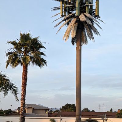 10 20 30 M Palm Tree Fake Tree Cell Tower Camouflaged Telecommunication  5-80M