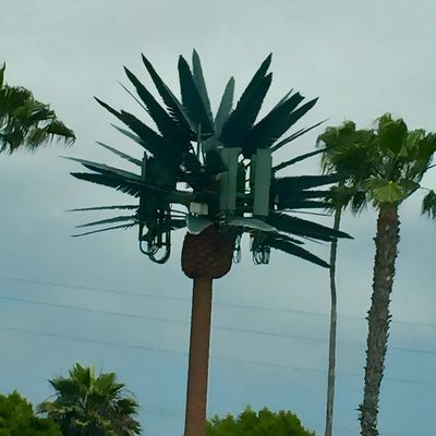 Galvanized Bionic Telecommunication Monopole Tower / Artificial Tree Cell Towers