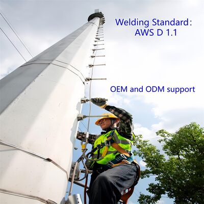 19 27 35M Landscape Adapted Monopole Galvanized Steel Self Supporting Outdoor 5G 4G Microwave City Aesthetic Mast