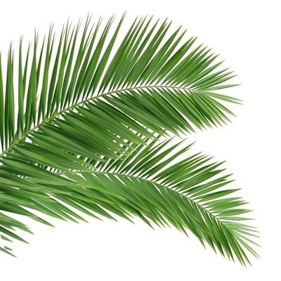 Bionic Tree Tower with tree like appearance featuring fiberglass branches and trunks for seamless landscape blending