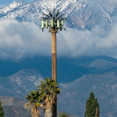 Bionic Tree Tower artificial with ANSI TIA 222 G H F and EN 1991 1 4 EN 1993 3 1 design codes for infrastructure
