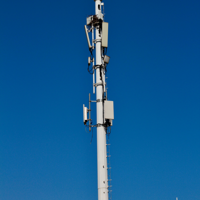 36Meter Color Customized Monopole Tower For City Central Park 5G Deployment