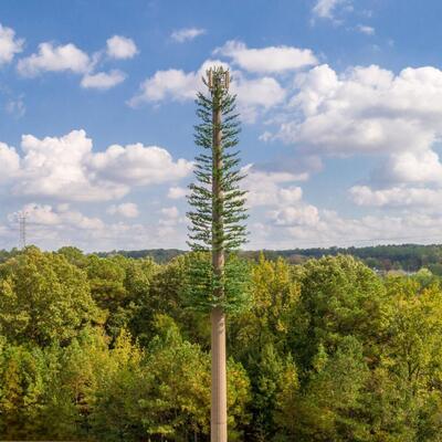 15-45M Tropical Style Bionic Palm Tree Camouflage Communication Tower for Coastal Resort Signal Coverage 30-Year Galvanized Steel Core and UV-Resistant Leaves