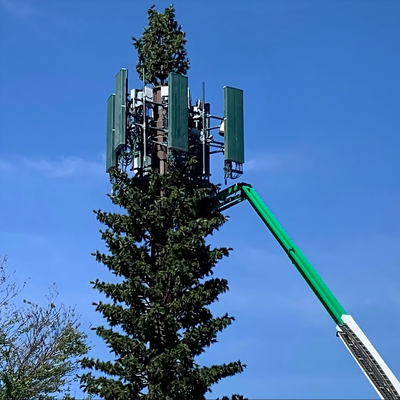 Eco-Friendly Camouflaged Bionic Pine Tree Tower for 5G Wireless Network Aesthetic Integration Bionic Palm Tree Communication Mast Factory