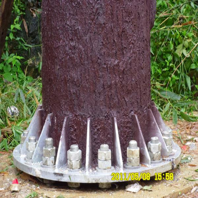 Robust Bionic Pine Tree Tower with Camouflaged Leafage and Hidden Antenna System for Landscape Area 5G Network Site Q345B Galvanized