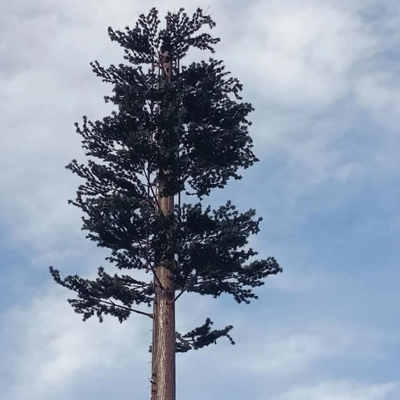 5 10 15 20 25 30 35 40 45 50 55 60 M Meters Radio Microwave Antenna Mast Telecom Disguised Cell Phone Towers Bionic Tree Tower